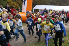 hwl-2007-17