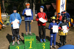 hwl-2007-33