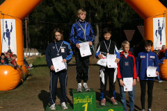 hwl-2007-37