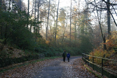 Herbstwaldlauf 2008