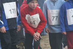 hwl-2008-11