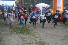 hwl-2008-12