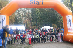 hwl-2008-15
