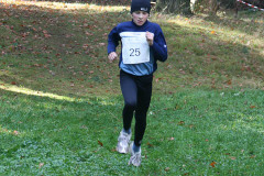 hwl-2008-22