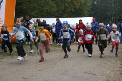 hwl-2009-02