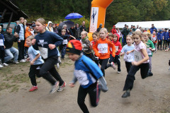 hwl-2009-06