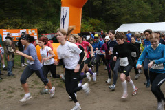 hwl-2009-18