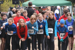 hwl-2010-11