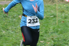 hwl-2010-13