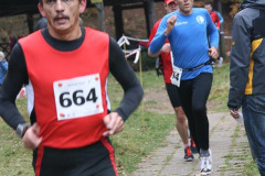hwl-2010-20
