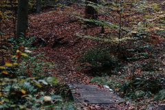 DSC03007