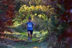 2022_Herbstewaldlauf2022-11-13_12_42_05_0_pv