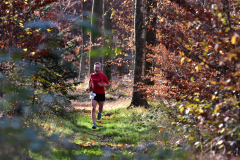 2022_Herbstewaldlauf2022-11-13_12_55_59_0_pv
