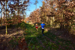 2022_Herbstewaldlauf2022-11-13_13_06_15_0_pv