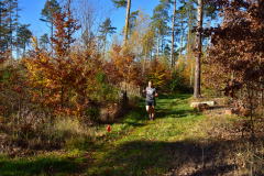 2022_Herbstewaldlauf2022-11-13_13_07_10_0_pv
