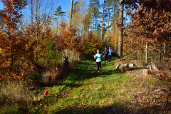 2022_Herbstewaldlauf2022-11-13_13_07_20_0_pv
