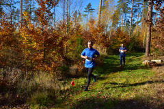 2022_Herbstewaldlauf2022-11-13_13_07_25_0_pv