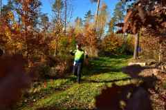 2022_Herbstewaldlauf2022-11-13_13_08_46_0_pv