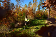 2022_Herbstewaldlauf2022-11-13_13_09_03_0_pv