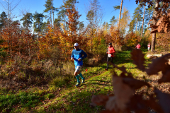 2022_Herbstewaldlauf2022-11-13_13_10_25_0_pv