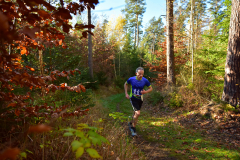 2022_Herbstewaldlauf2022-11-13_13_17_51_0_pv