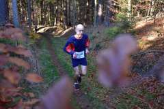 2022_Herbstewaldlauf2022-11-13_13_23_12_0_pv