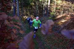 2022_Herbstewaldlauf2022-11-13_13_24_57_0_pv