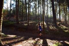 2022_Herbstewaldlauf2022-11-13_13_26_15_0_pv