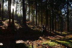 2022_Herbstewaldlauf2022-11-13_13_31_43_0_pv