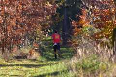2022_Herbstewaldlauf2022-11-13_13_42_28_0_pv