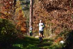 2022_Herbstewaldlauf2022-11-13_13_45_06_0_pv
