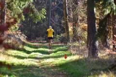 2022_Herbstewaldlauf2022-11-13_13_47_29_0_pv