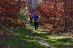 2022_Herbstewaldlauf2022-11-13_14_05_52_0_pv