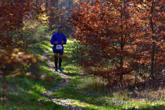 2022_Herbstewaldlauf2022-11-13_14_06_06_0_pv
