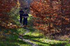 2022_Herbstewaldlauf2022-11-13_14_07_26_0_pv