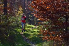2022_Herbstewaldlauf2022-11-13_14_12_42_0_pv