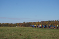 DSC03491