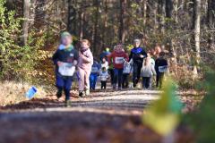 2022_Herbstewaldlauf2022-11-13_12_01_28_0_pv