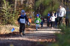 2022_Herbstewaldlauf2022-11-13_12_01_45_0_pv