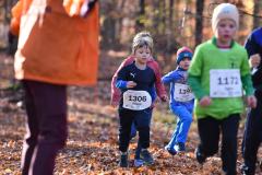 2022_Herbstewaldlauf2022-11-13_12_01_59_0_pv