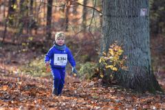 2022_Herbstewaldlauf2022-11-13_12_03_10_0_pv