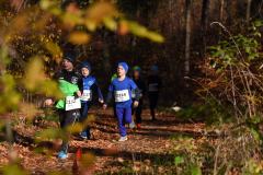 2022_Herbstewaldlauf2022-11-13_12_11_26_0_pv