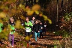 2022_Herbstewaldlauf2022-11-13_12_11_54_0_pv