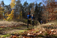 2022_Herbstewaldlauf2022-11-13_12_27_11_0_pv