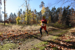 2022_Herbstewaldlauf2022-11-13_12_27_31_0_pv
