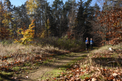 2022_Herbstewaldlauf2022-11-13_12_27_46_0_pv
