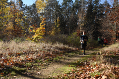2022_Herbstewaldlauf2022-11-13_12_27_54_0_pv