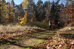 2022_Herbstewaldlauf2022-11-13_12_27_57_0_pv