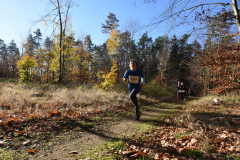 2022_Herbstewaldlauf2022-11-13_12_28_10_0_pv