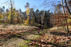 2022_Herbstewaldlauf2022-11-13_12_28_12_0_pv
